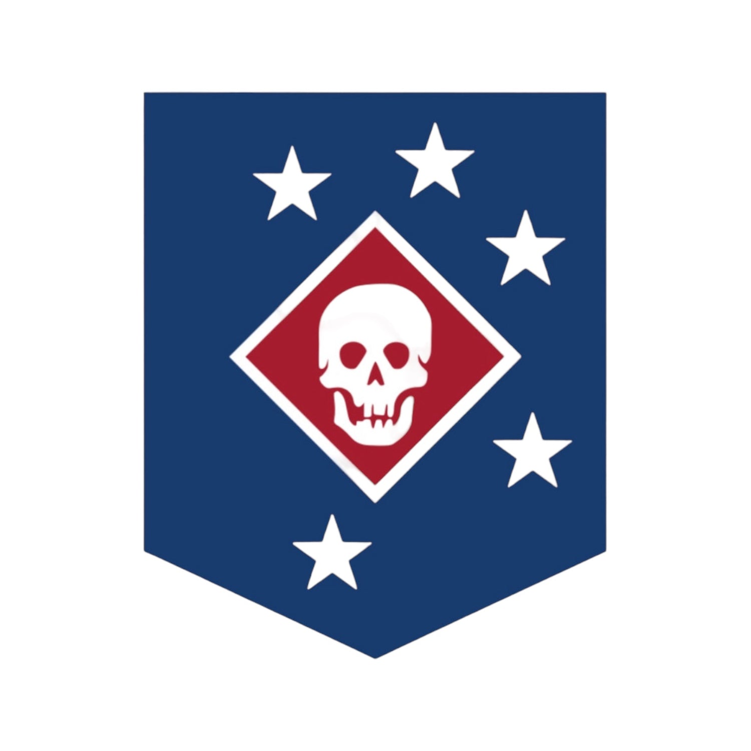 AMPHIB RAIDS