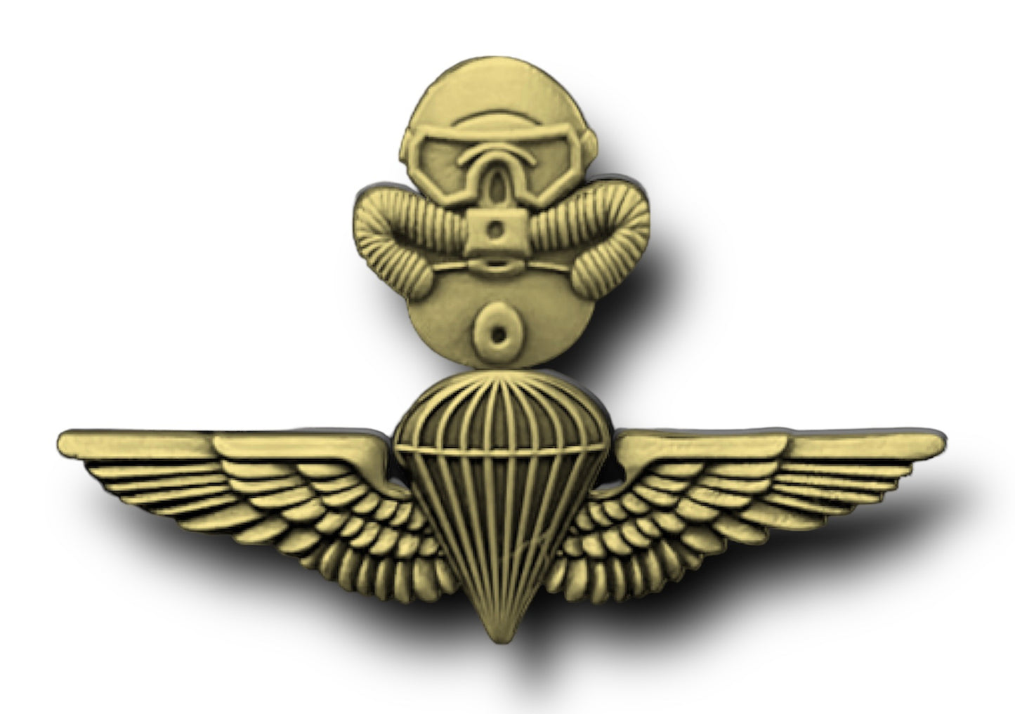 DUAL COOL LAPEL PIN (AMPHIB RECON)