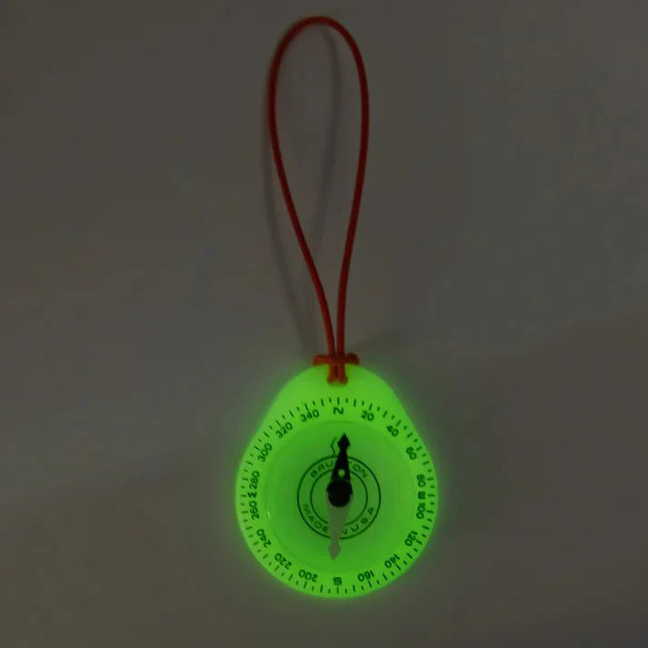 9041 GLOW COMPASS