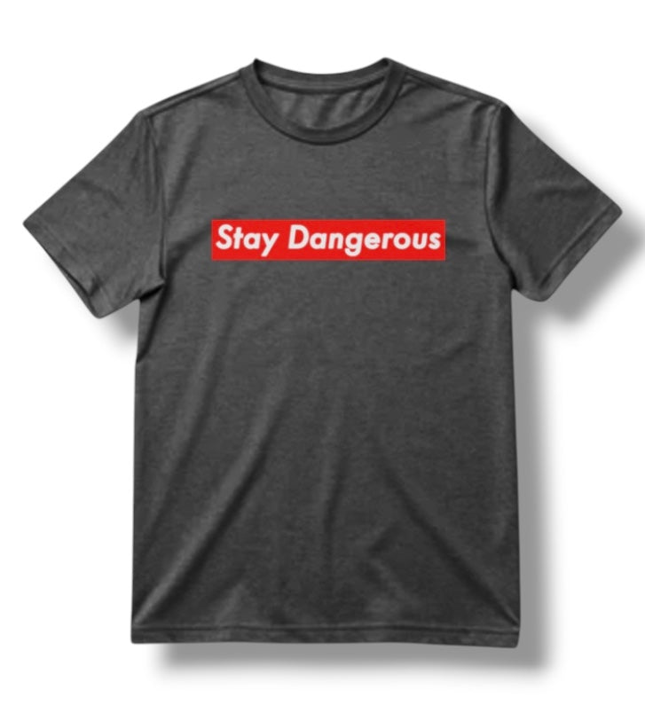 ((PRE-ORDER)) STAY DANGEROUS TEE (METAL GREY)