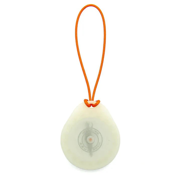 9041 GLOW COMPASS