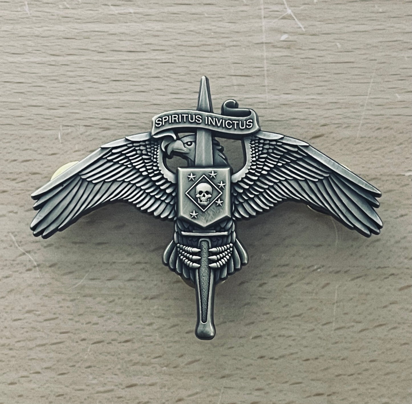 MARSOC INSIGNIA BADGE (WITH SKULL)