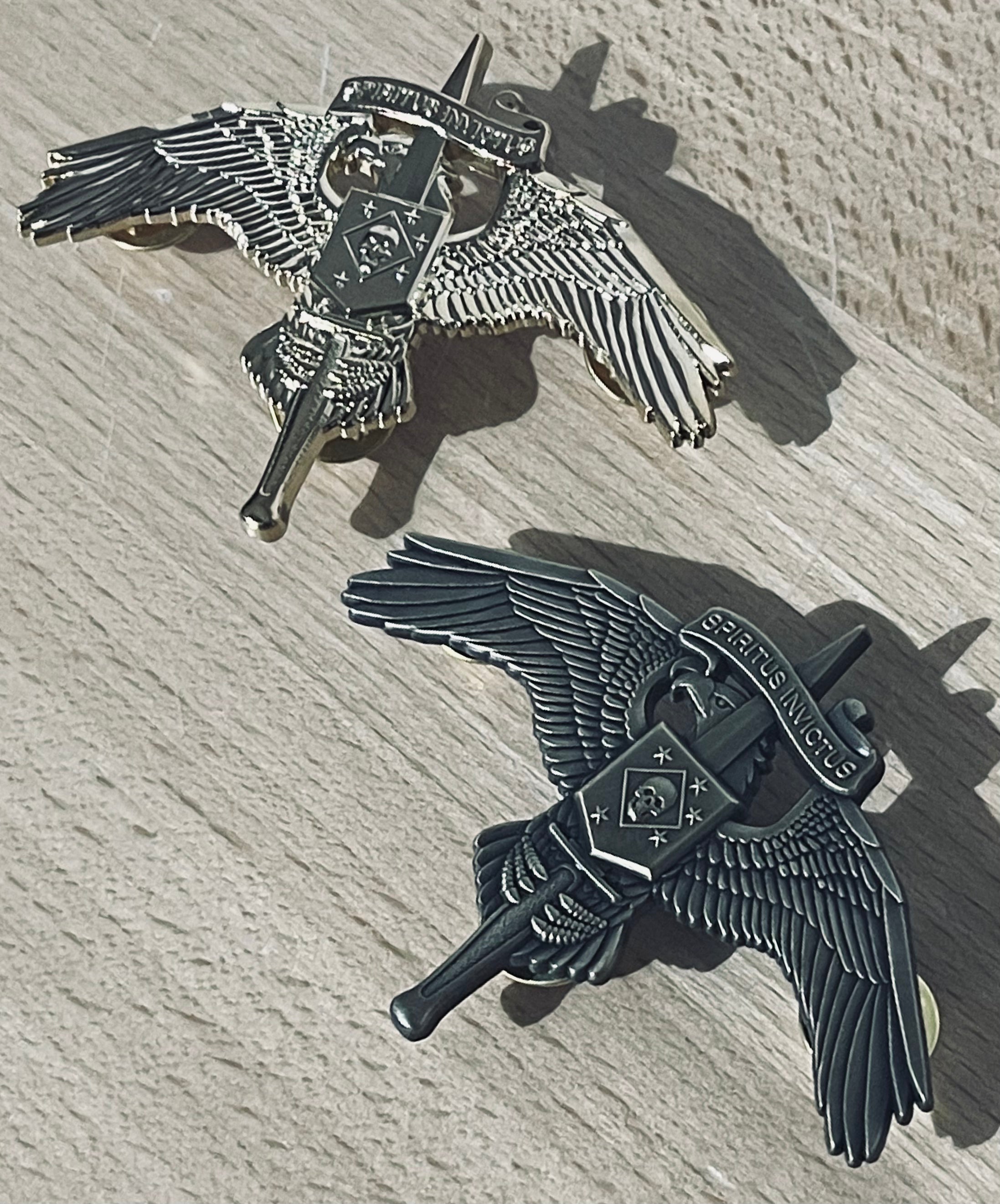 Marsof Badge MARSOC INSIGNIA BADGE (WITH SKULL) – Direct Action Apparel