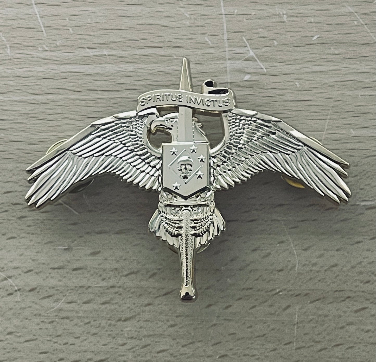 MARSOC INSIGNIA BADGE (WITH SKULL)